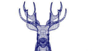 Stag_2